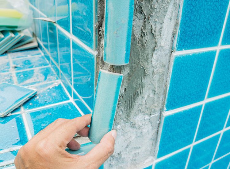 Swimming Pool Renovation Services